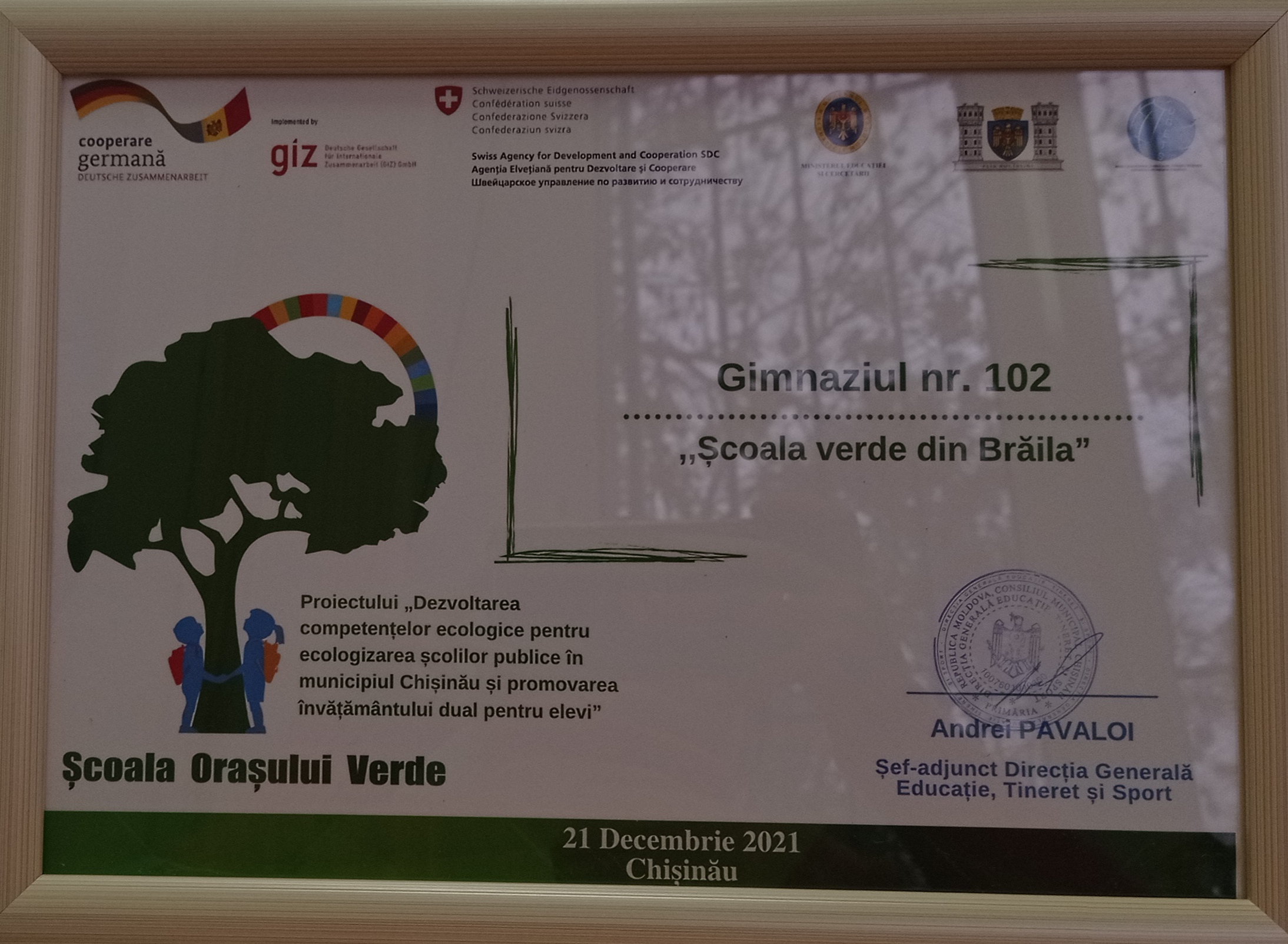 Gimnaziul nr.102 a câștigat proiectul ,,Școala orașului verde”