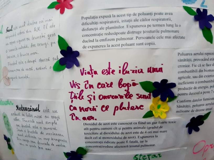 Şcoala Oraşului Verde