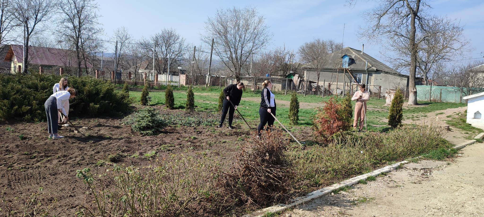 Campania de salubrizare e în toi